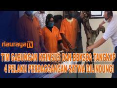 POLISI BERSAMA PETUGAS BBKSDA TANGKAP 4 PELAKU PERDAGANGAN SATWA DILINDUNGI